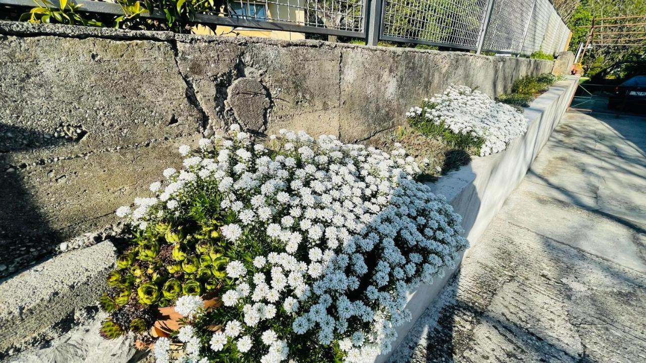 Apartament Iva Rijeka