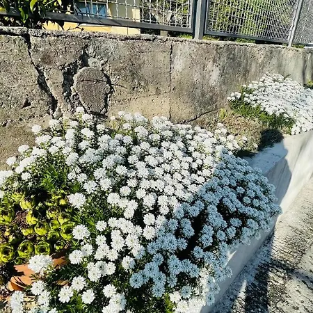 Apartment Iva Rijeka Exterior photo