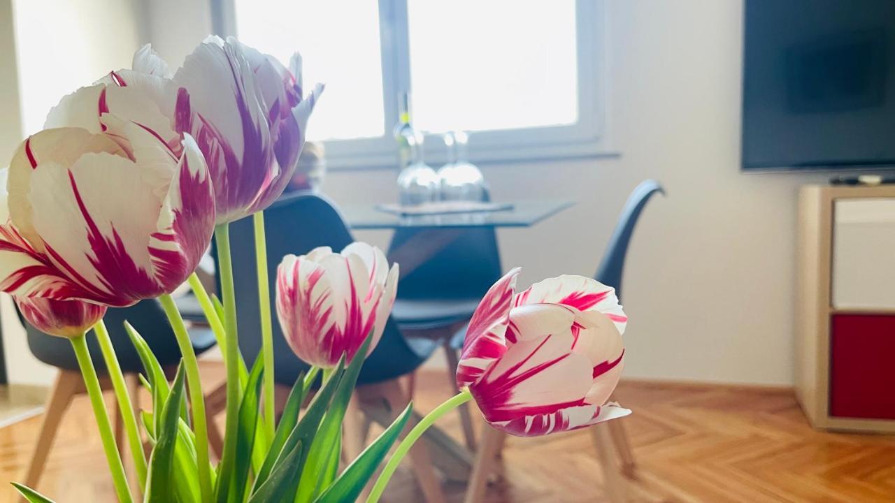 Iva * Rijeka